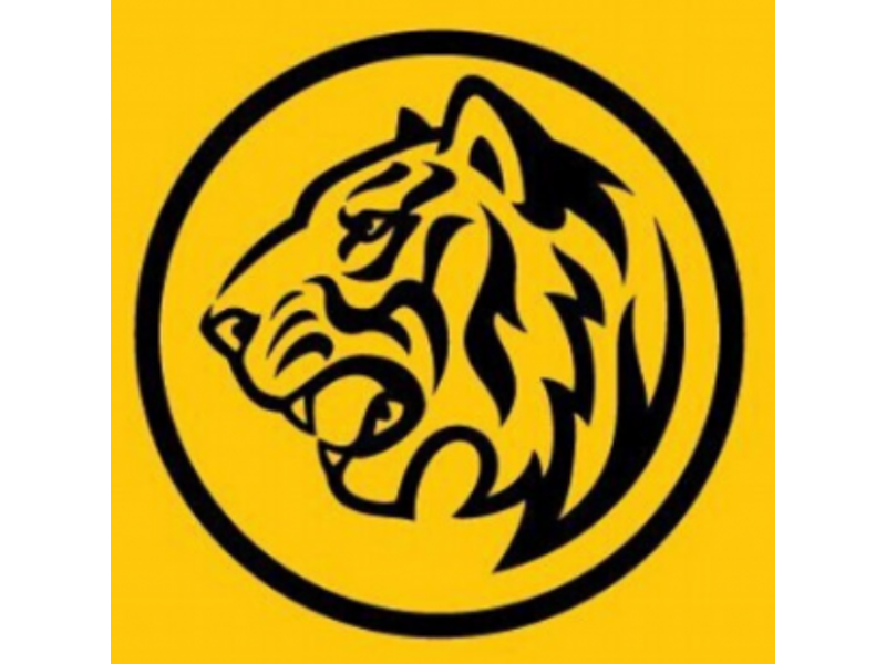 Logo 21
